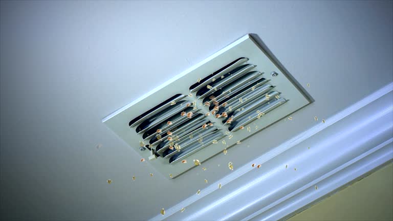 Best Ventilation Cleaning Services  in Albers, IL