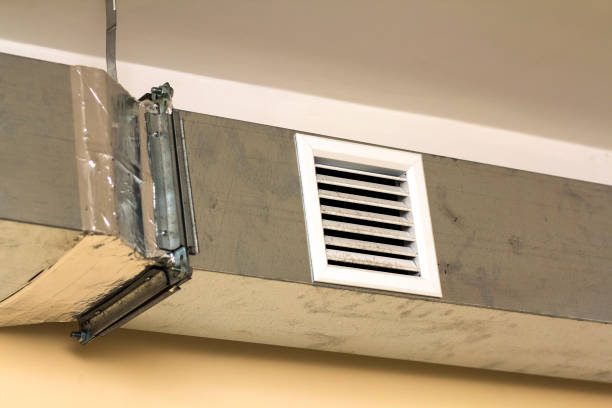 Best Affordable Duct Cleaning Services  in Albers, IL